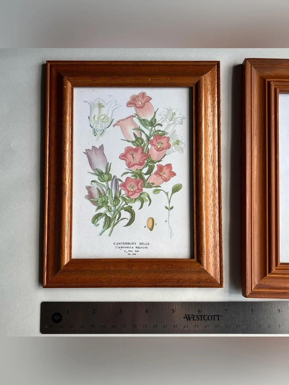 Vintage Honey Tone Wood Picture Photo Frames w/ Fine Art Prints-Set of 2